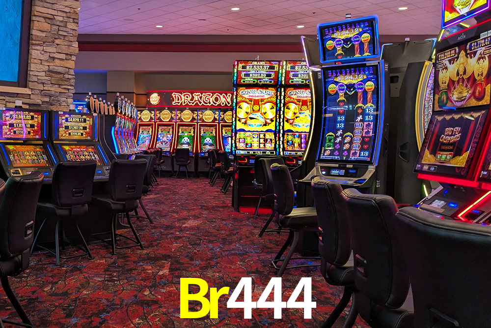 Bonus Features Br444