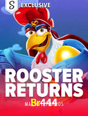 Football Betting Br444